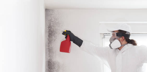 Best Mold Damage Repair  in Eureka, KS