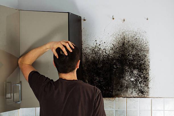 Best Affordable Mold Removal  in Eureka, KS